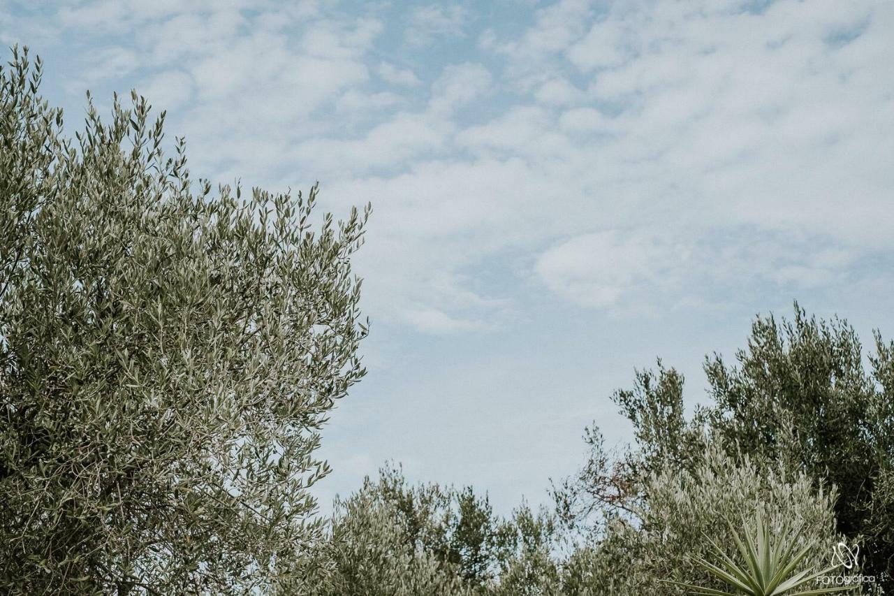 Tenuta La Cornula