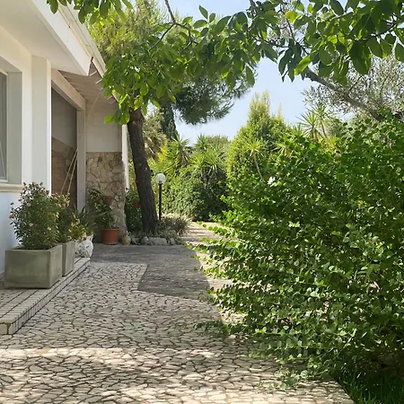 B&B Tenuta La Cornula San Donato di Lecce Extérieur photo